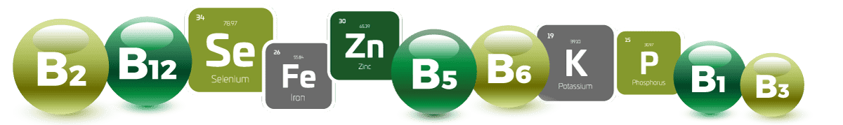 Nutrients depicted as a row of graphics