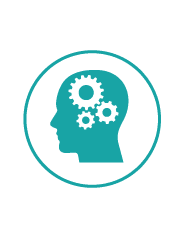 Cognitive function