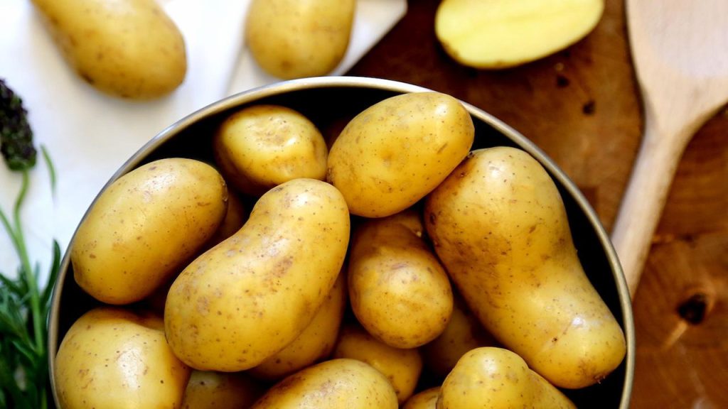 A saucepan full of salad potatoes
